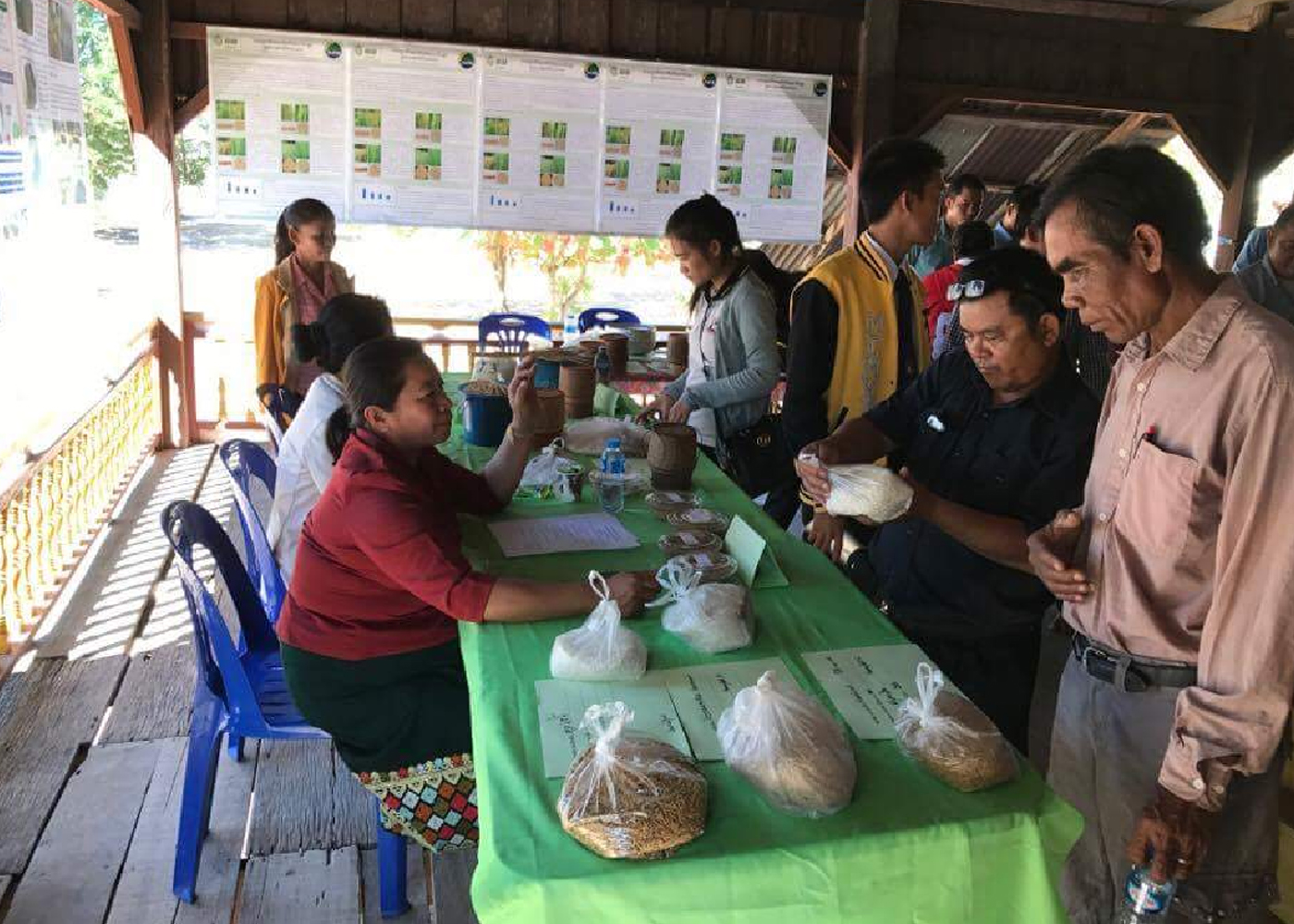 The seed fair in Phailom CSV aims to establish a seed production system for a more sustainable supply of quality and resilient seeds in the village. (Photos: CCAFS)