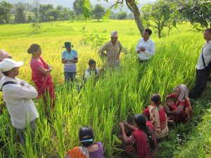Bishnu Bilas Adhikari and other field staff members discussing with the farmers the importance of seed health management. (Photo: Bishnu Adhikari)