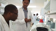 DR. RAMAIAH confers with Arnaud Gouda, a research technician in the AfricaRice Biotechnology Laboratory, where they are "mining" for alleles in the genebank.