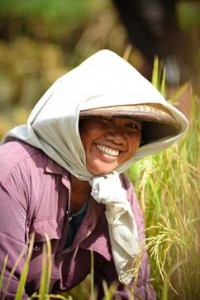 Rice breeding helps rice famers earn more. (Photographer: Ariel Javellana/ADB)