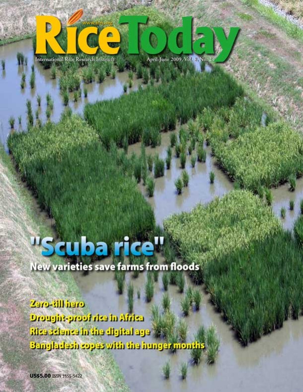 Rice Today Vol. 8, No. 2 (April-June 2009) - Rice Today