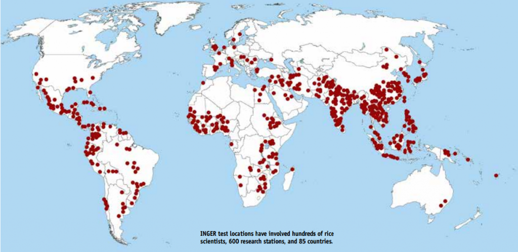 INGER test locations have involved hundreds of rice scientists, 600 research stations, and 85 countries.