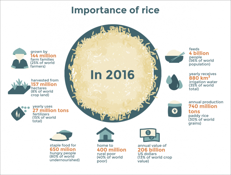Continuing global partnership through rice – Rice Today