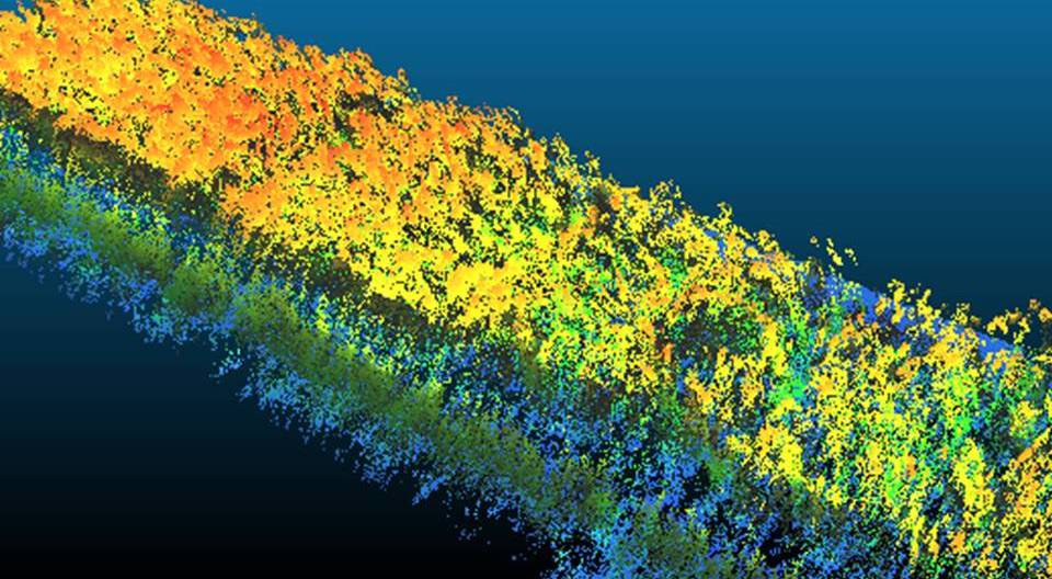 A high-resolution digital reconstruction of plant canopies. (Image by Jose Jimenes-Berni, CSIRO)