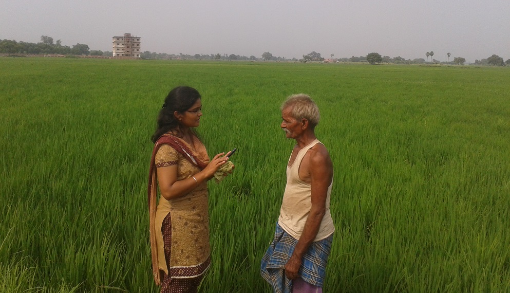 Farmer's interview for fertilizer recommendation in rice crop of his field through RWCM App (Photo: CSISA)