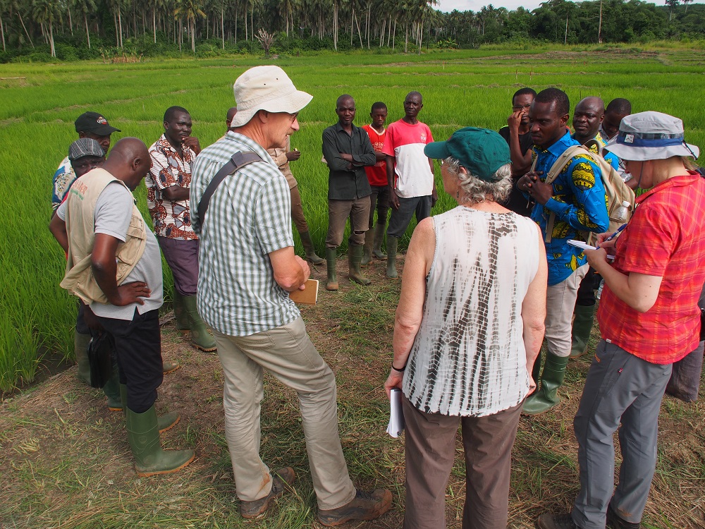 National and international researchers discussing with inland valley rice farmers about their priorities and constraints. (Photo by R Raman, AfricaRice)
