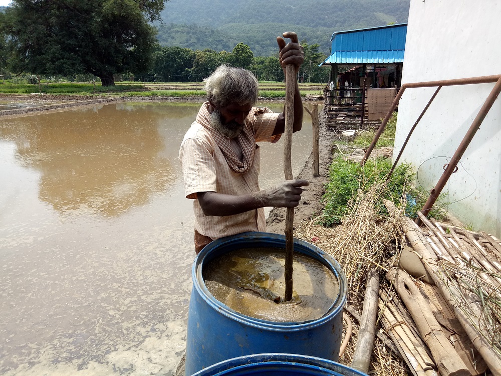  A farmer preparing Jeevamirtham, a natural fertilizer composed of cow dung and urine, legume powder, and jaggery. (Photo: Amrita SeRVe©)