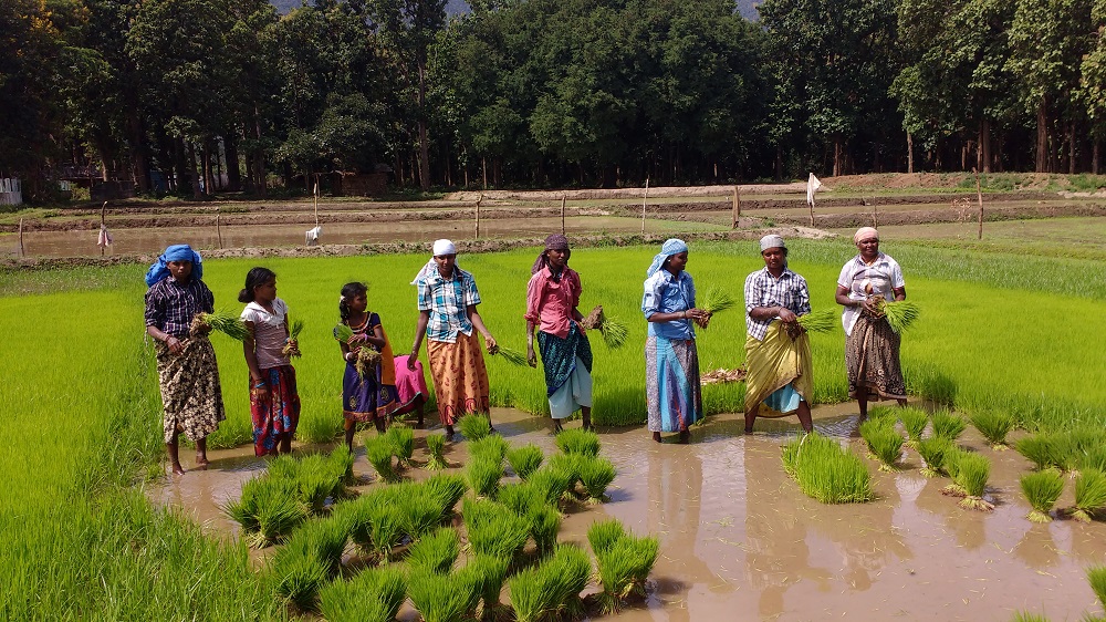 Some members of Amrita Vyavasayam Kulu, a group of farming families in the village. (Photo: Amrita SeRVe©)