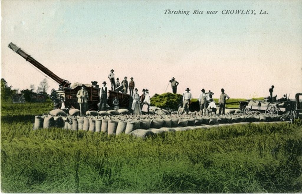 Turning rice into wheat: The U.S. origins of large-scale, capital ...