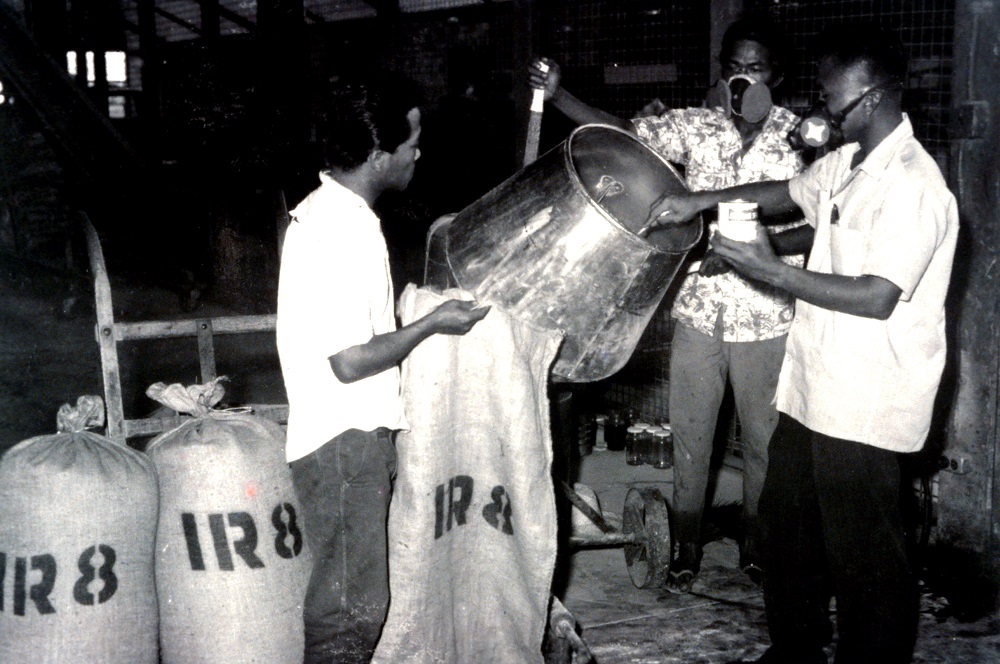 IR8 seeds are being packed for distribution to farmers in the Philippines in the 1960s. (Photo: IRRI)
