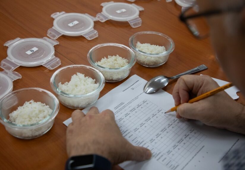 Latest News – Rice Today