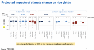 Listening to the heartbeat of the global rice market – Rice Today